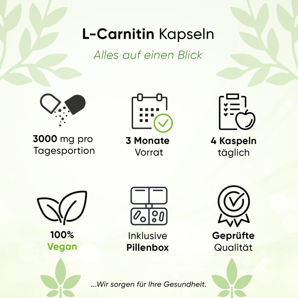 BIOTARY - L - Carnitin Kapseln